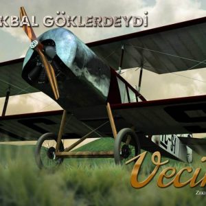 1920 s Propeller and Generic 9 Cylinder Radial Engine