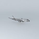 Boeing 787 800 Blue Gamma Taking Off with interior