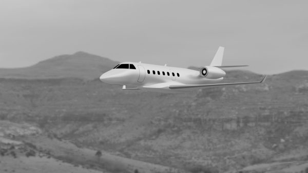 Bussines Jet 3d model by Nikdox