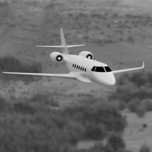 Bussines Jet 3d model by Nikdox