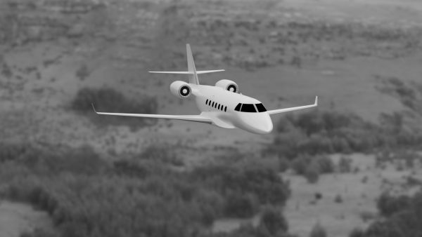 Bussines Jet 3d model by Nikdox