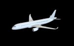 Chinese Trunk Aircraft C919