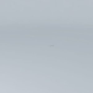 r5ac-first-flights-airplane-crashes-3d-model-max-obj-3ds-fbx-stl-skp