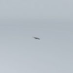 R5AC First Flights Airplane Crashes