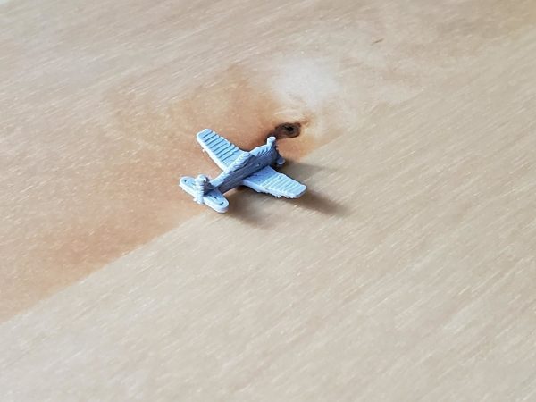 US F6F Hellcat Fighter Aircraft