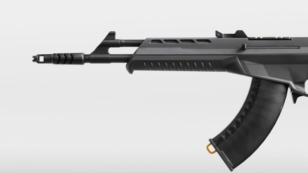 Vandal Valorant Weapon RIGGED
