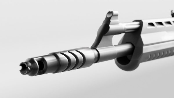 Vandal Valorant Weapon RIGGED
