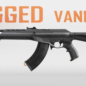 Vandal Valorant Weapon RIGGED