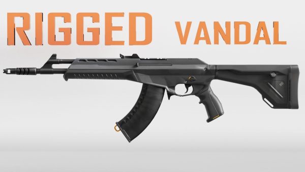 Vandal Valorant Weapon RIGGED