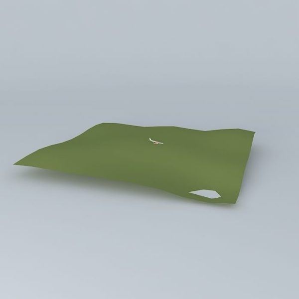 World Dynamics L-200 Airplane Crash