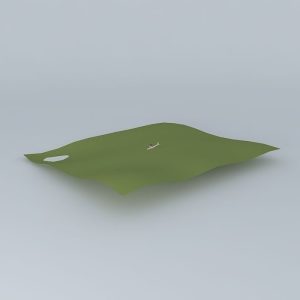 World Dynamics L-200 Airplane Crash